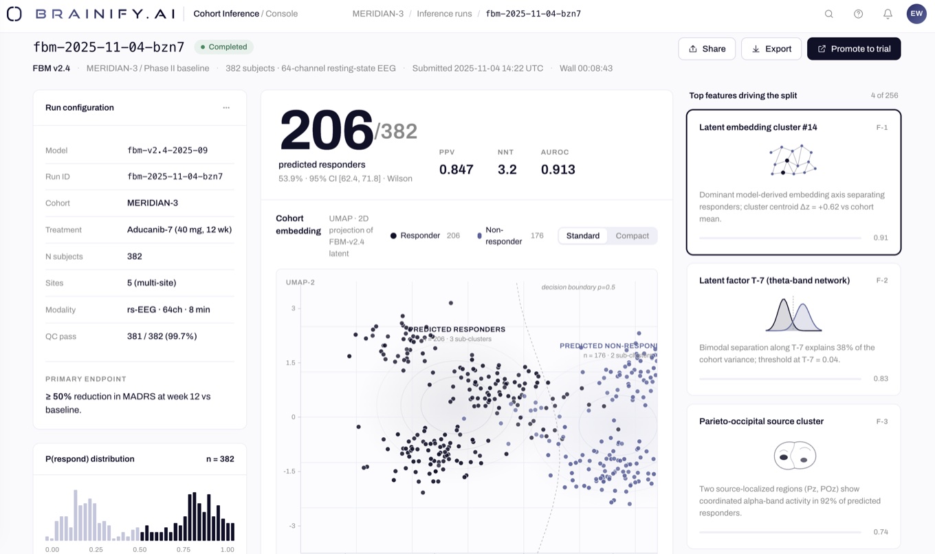 Brainify.AI Foundational Brain Model visualization