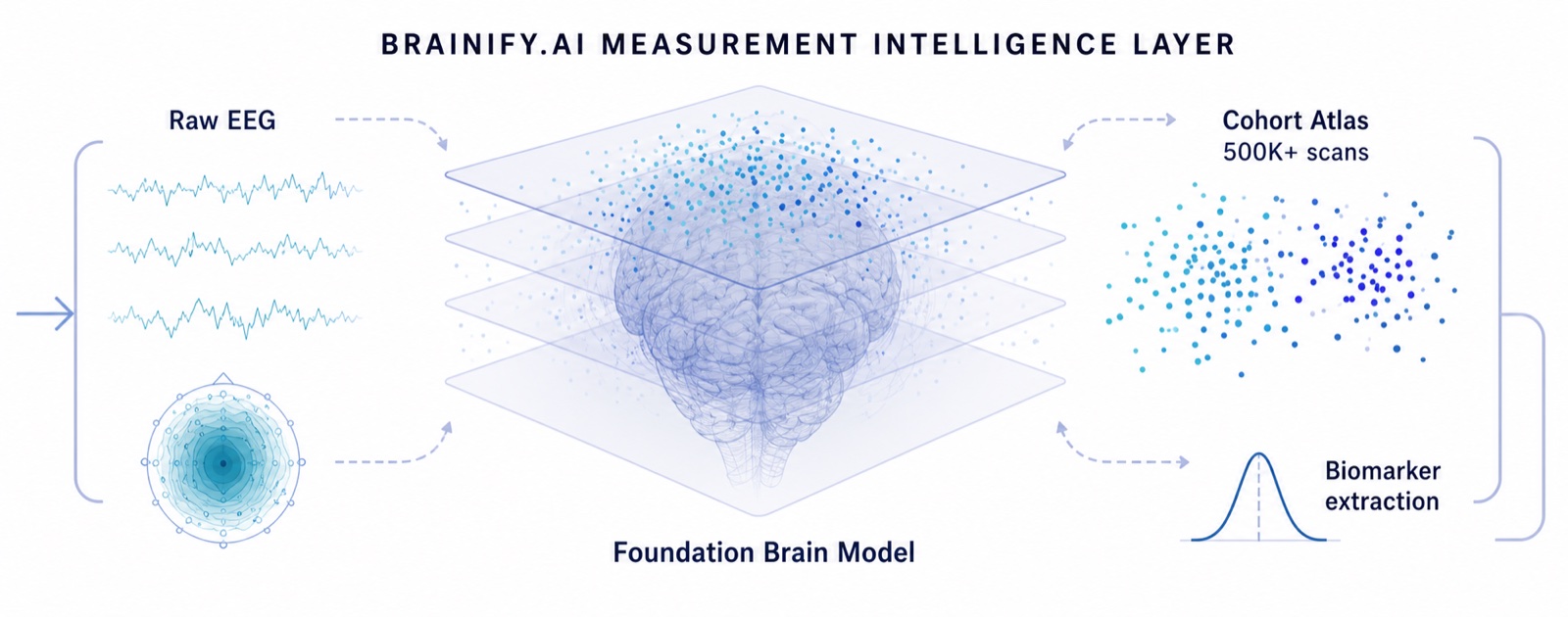 Brainify.AI measurement intelligence layer: brain-wave data collection, Foundational Brain Model, cohort atlas, and AI-based biomarker extraction
